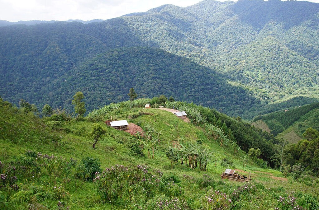Health and Safety Tips for Visiting Bwindi