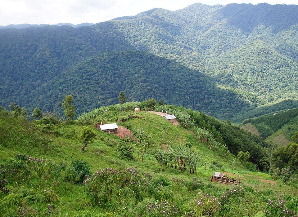 Health and Safety Tips for Visiting Bwindi