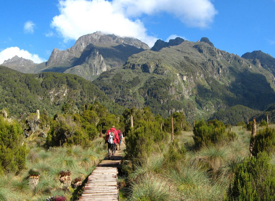 Hiking Mount Elgon after a Gorilla Trek in Bwindi