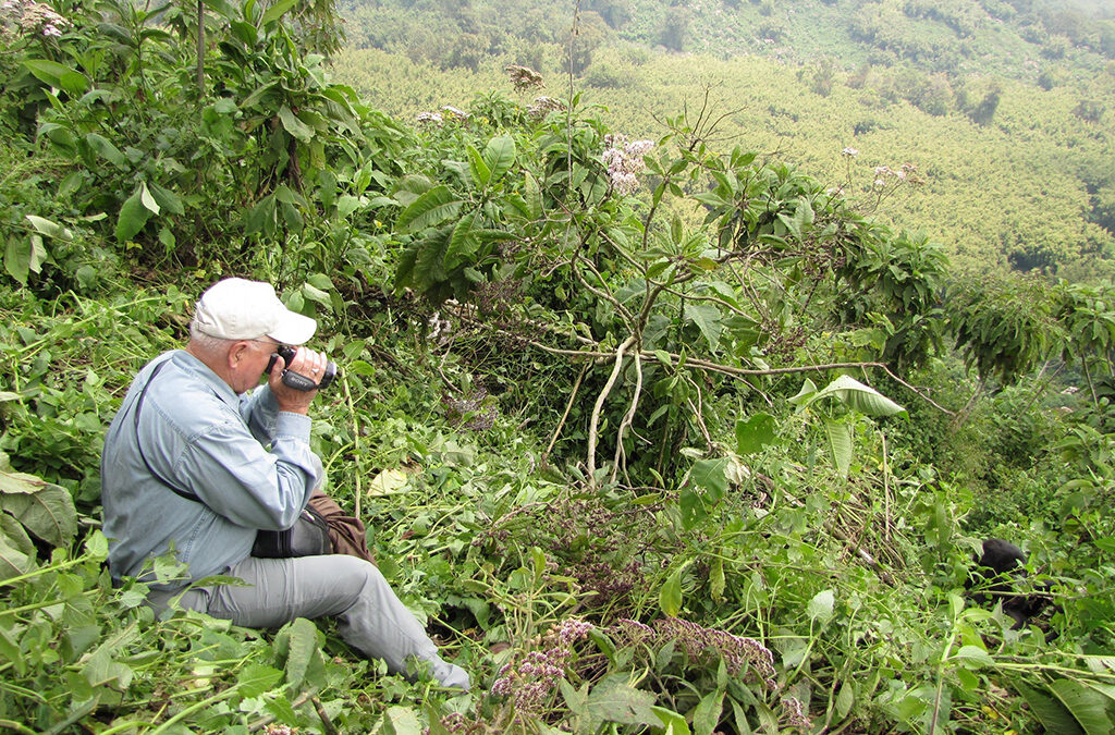 How to Plan a Peak Season Gorilla Safari in Rwanda