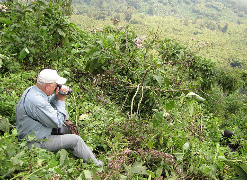 How to Plan a Peak Season Gorilla Safari in Rwanda