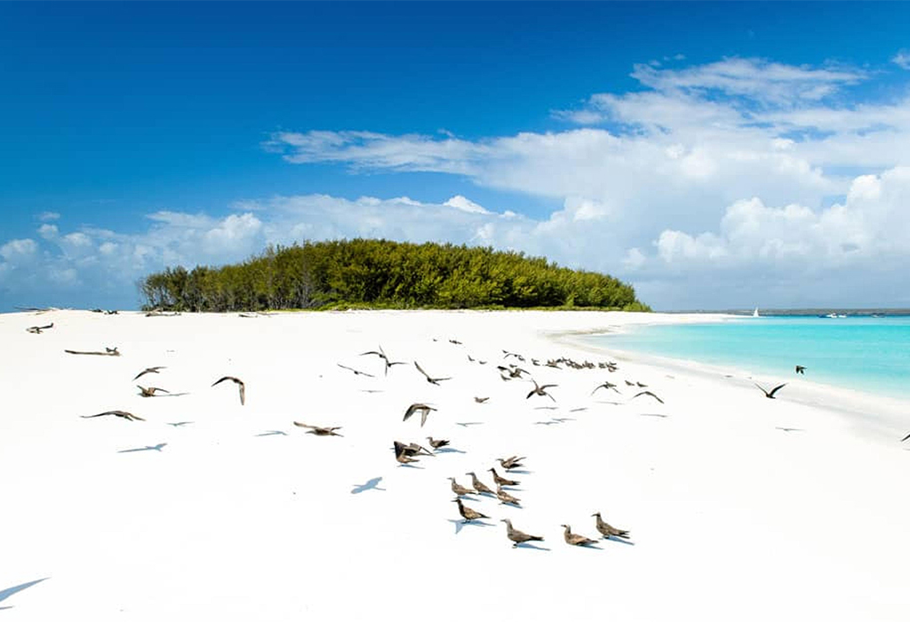 Top Romantic Beaches in Zanzibar