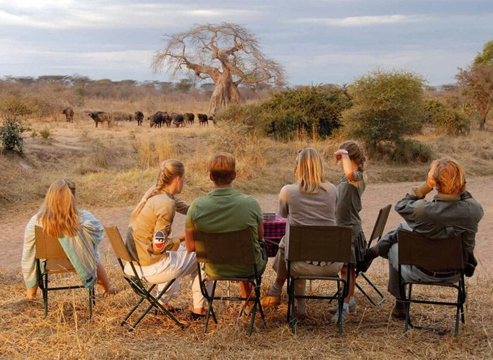 Top 5 Picnic Spots in Akagera National Park
