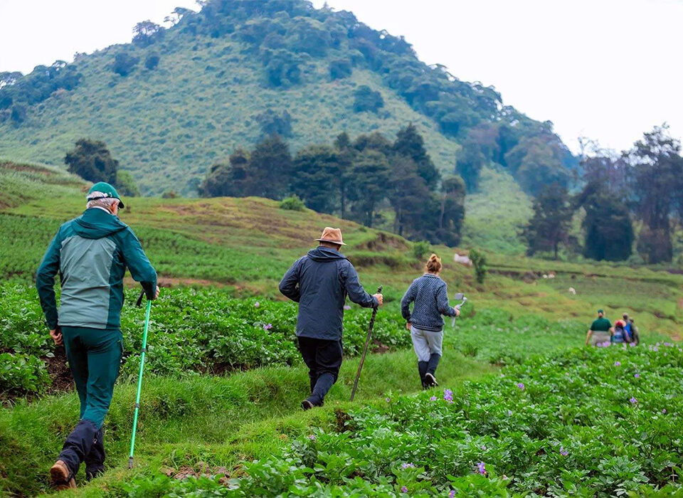 Best Hiking Trails in Volcanoes National Park