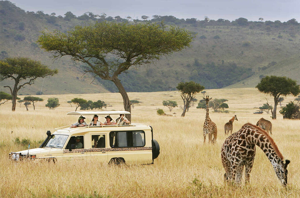 Combining a Uganda Safari with Trips to Rwanda or Kenya