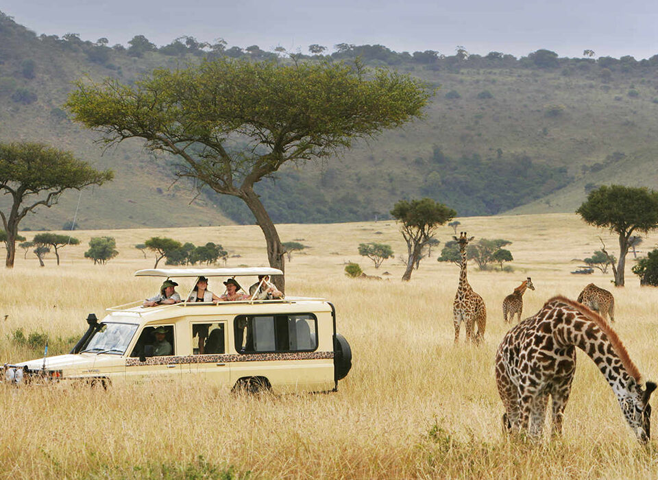 Combining a Uganda Safari with Trips to Rwanda or Kenya