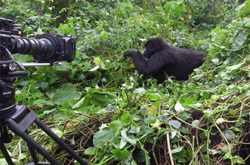Do I need permits for filming in Uganda?
