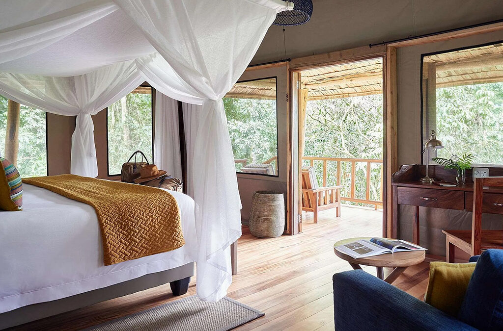How to Choose the Right Safari Lodge in Uganda