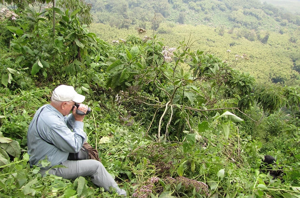 How to Plan a Semi‑Luxury Gorilla Safari in Rwanda