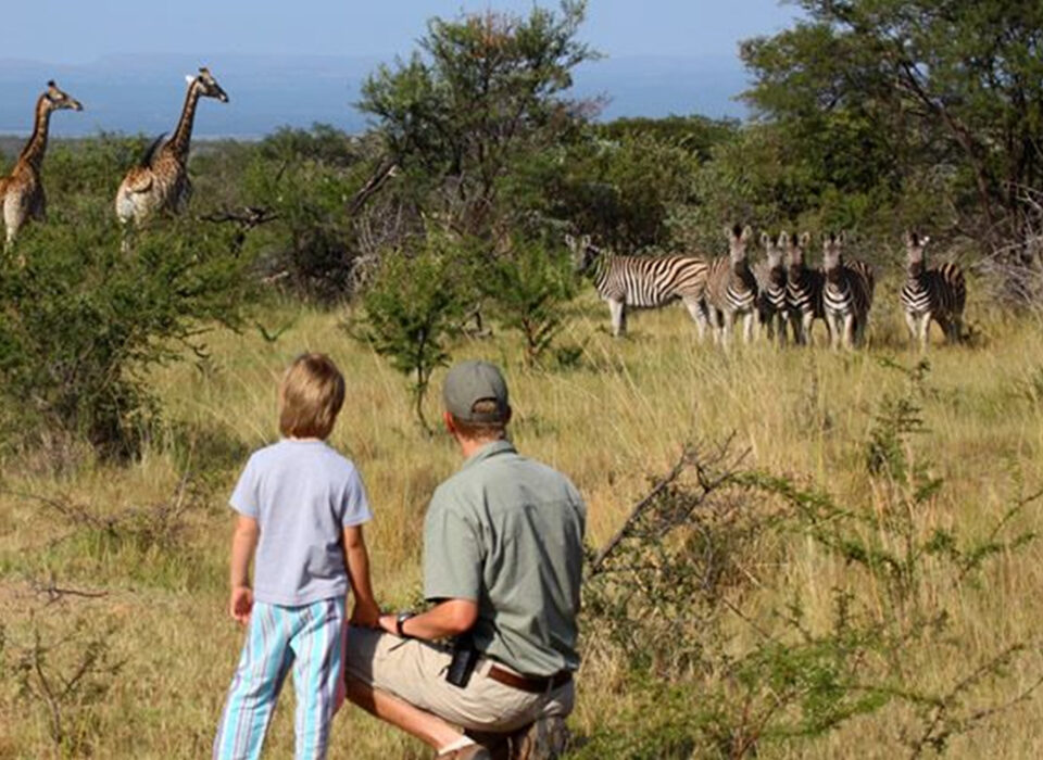Family Safari Adventure in Rwanda with Kids