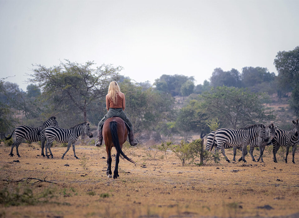 Horseback Safaris in Lake Mburo National Park