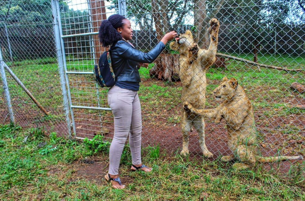 Nairobi Animal Orphanage: Is It Worth Visiting?