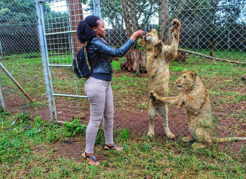 Nairobi Animal Orphanage: Is It Worth Visiting?