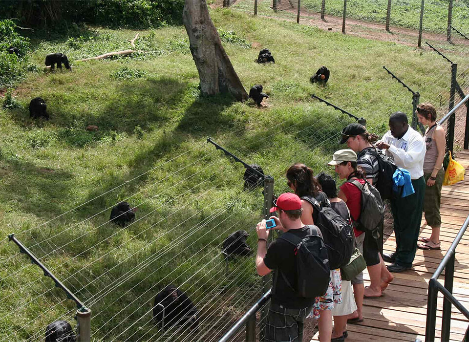 Uganda's Wildlife Rehabilitation Centers to Visit