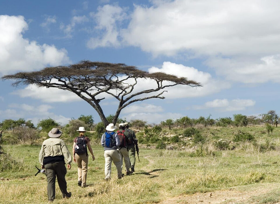 Packing List for a South African Safari