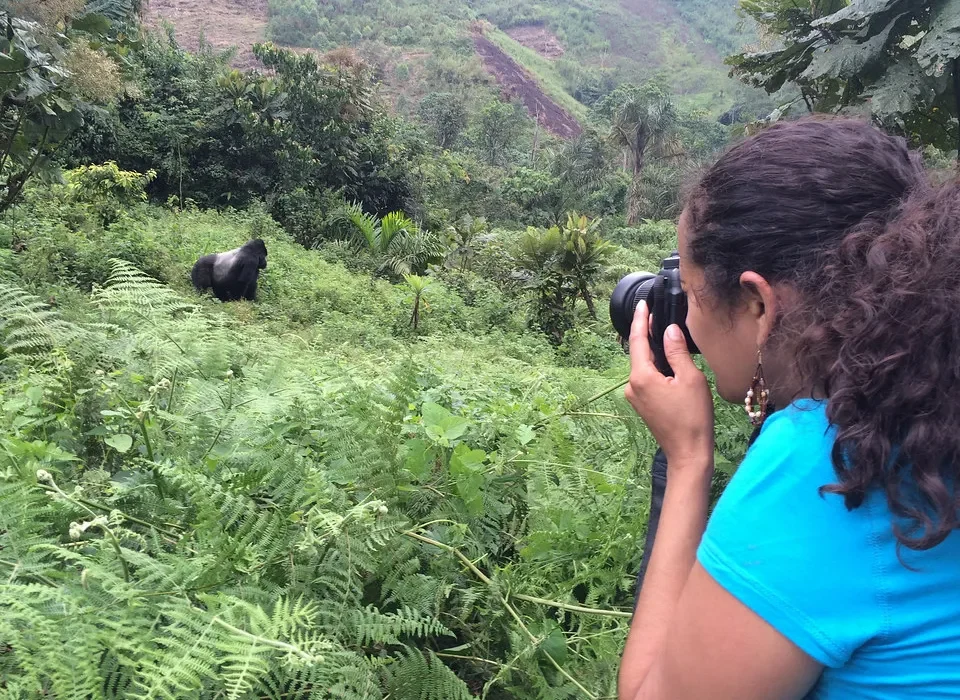 Rwanda Luxury Gorilla Safari The 5-Day Adventure