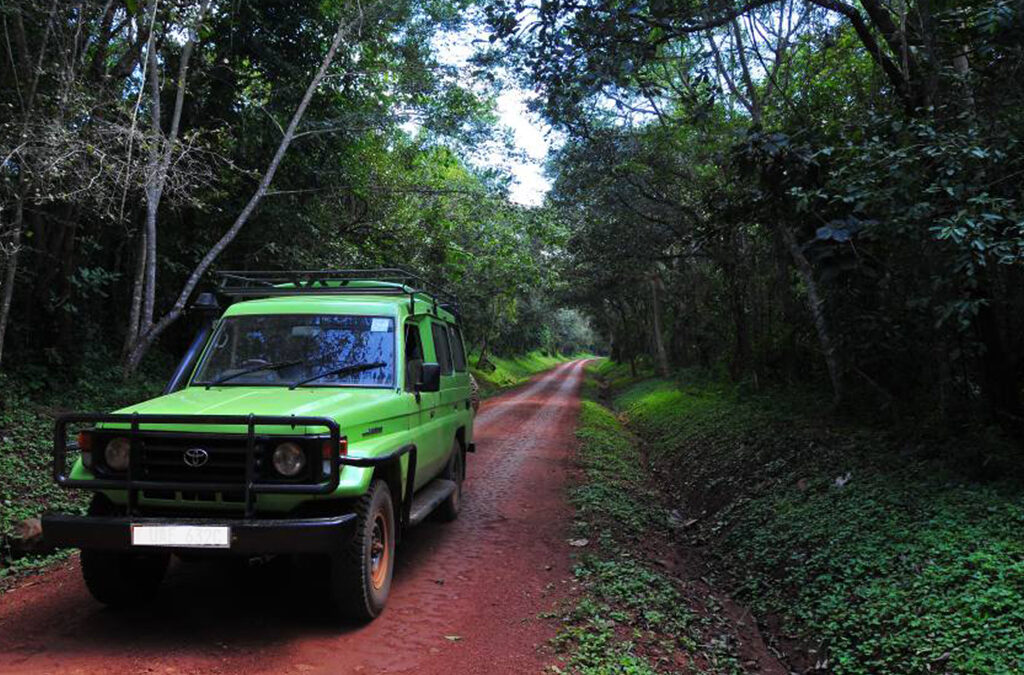 Self-Drive Safari to Mgahinga via Kabale