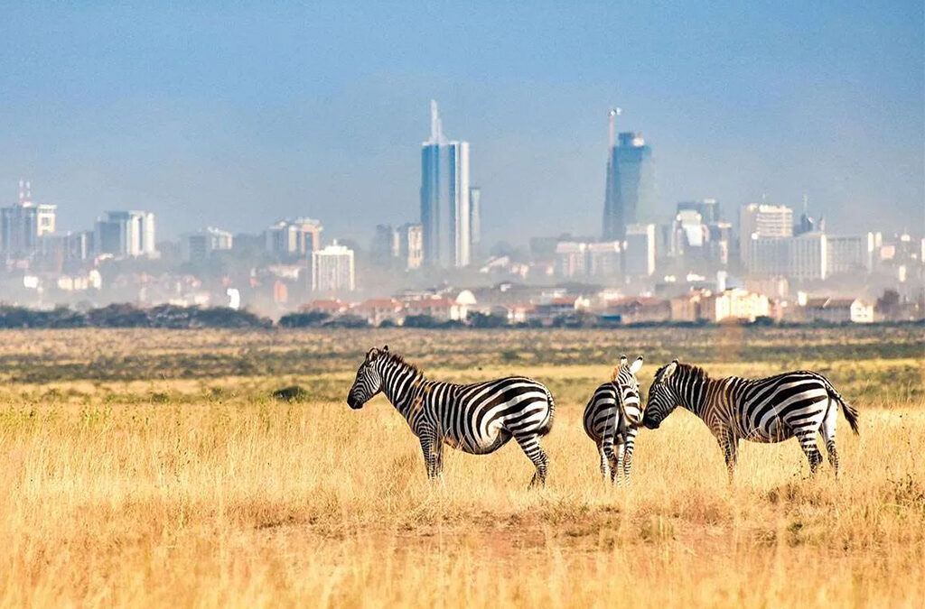 Top 10 Animals to See in Nairobi National Park