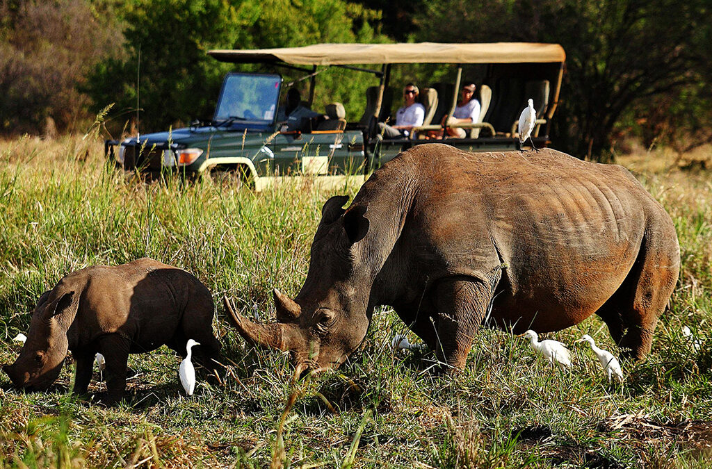 Top Things to See in Meru National Park