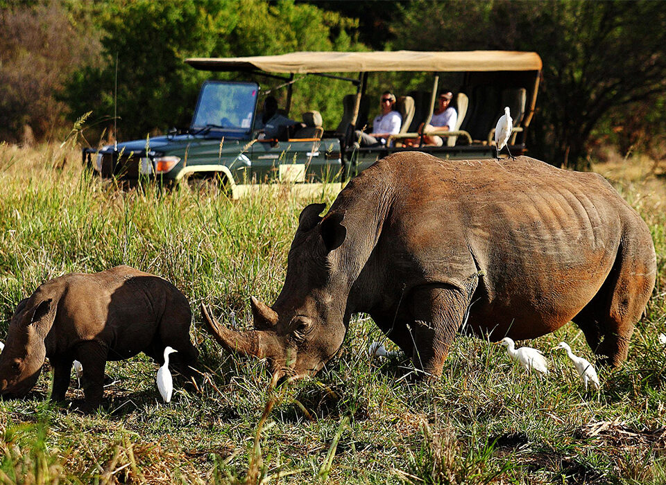 Top Things to See in Meru National Park