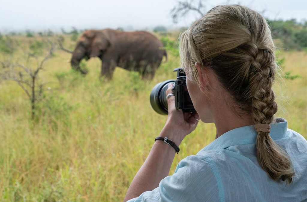 Volcanoes and Akagera - Best of Rwanda in 7 Days