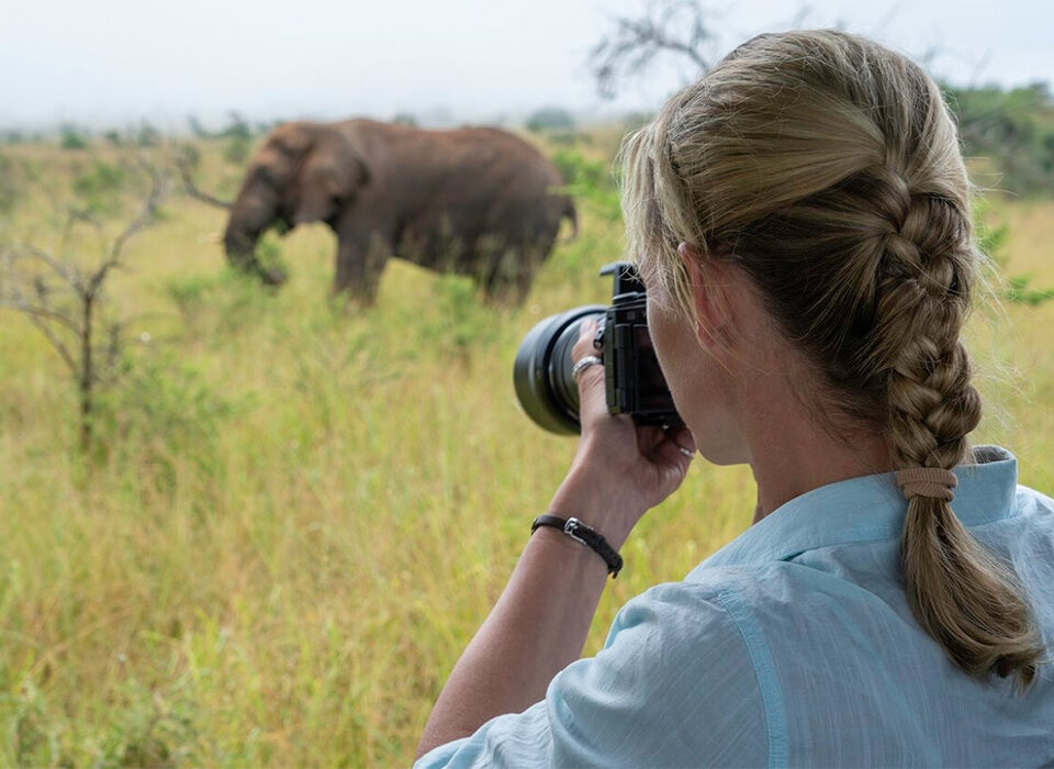 Volcanoes and Akagera - Best of Rwanda in 7 Days