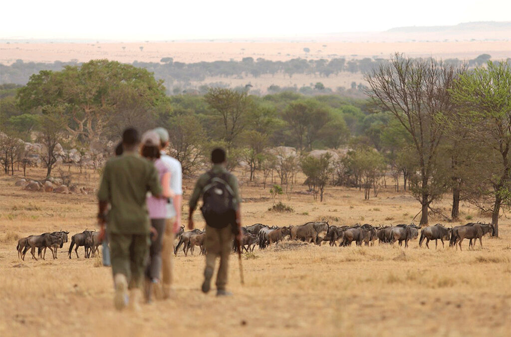 Walking Safaris in Serengeti - What You Need to Know