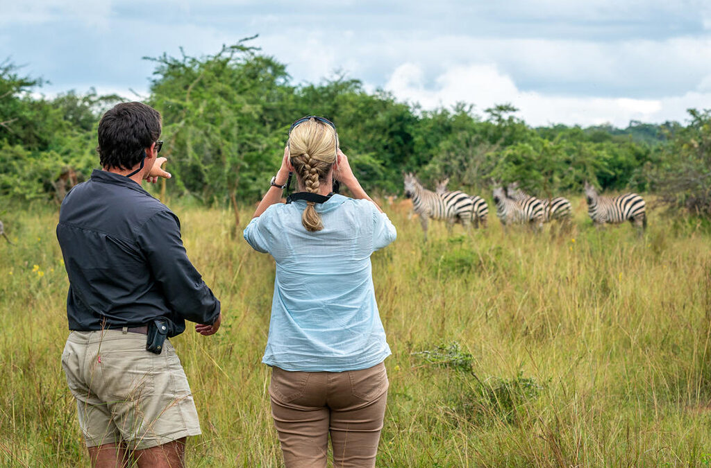 Weekend Escapes from Kigali to Akagera National Park