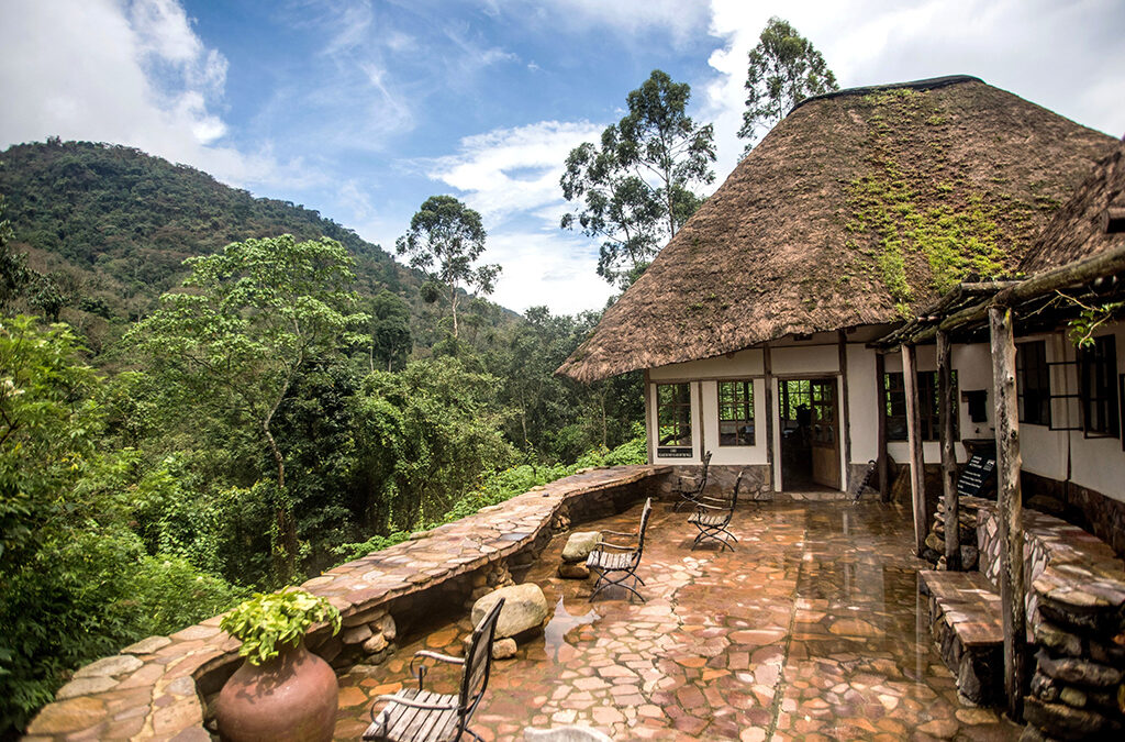 Where to Stay in Buhoma Sector in Bwindi