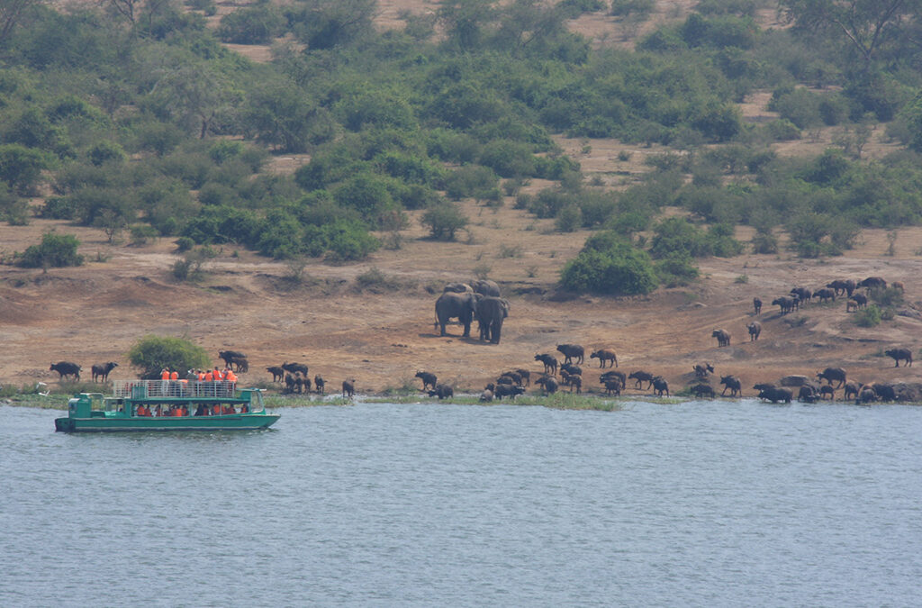 Why Kazinga Channel Cruise is Ideal for Photographers