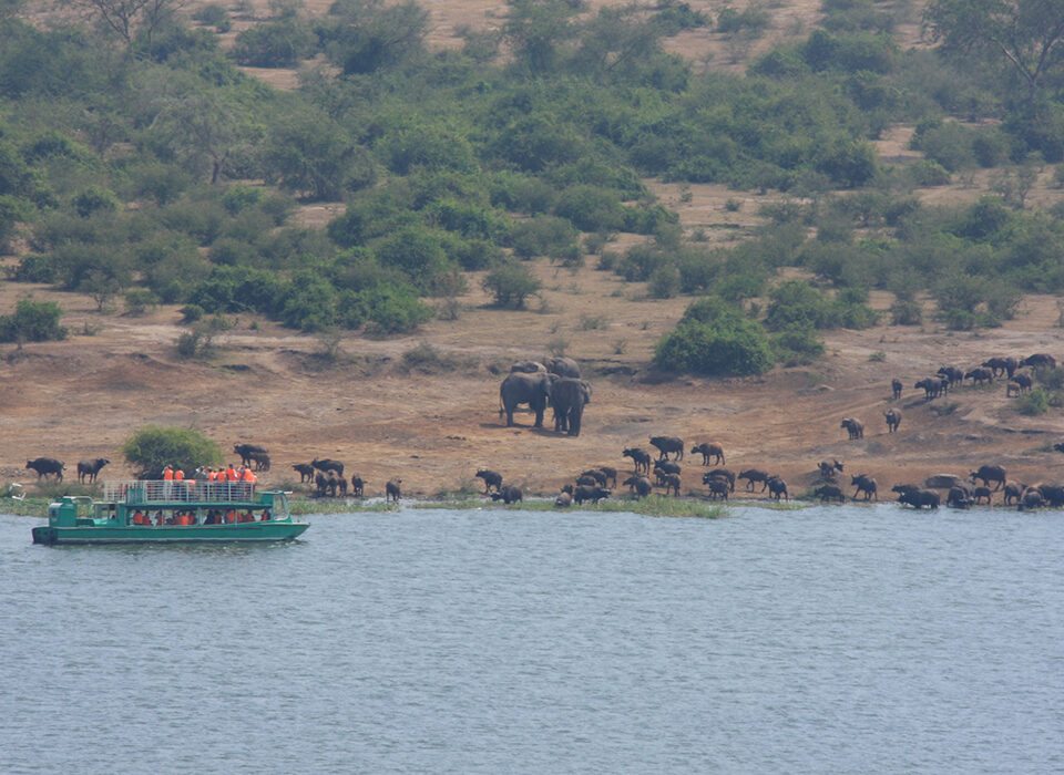 Why Kazinga Channel Cruise is Ideal for Photographers