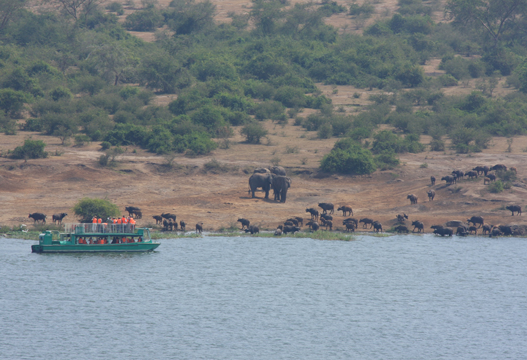 Why Kazinga Channel Cruise is Ideal for Photographers