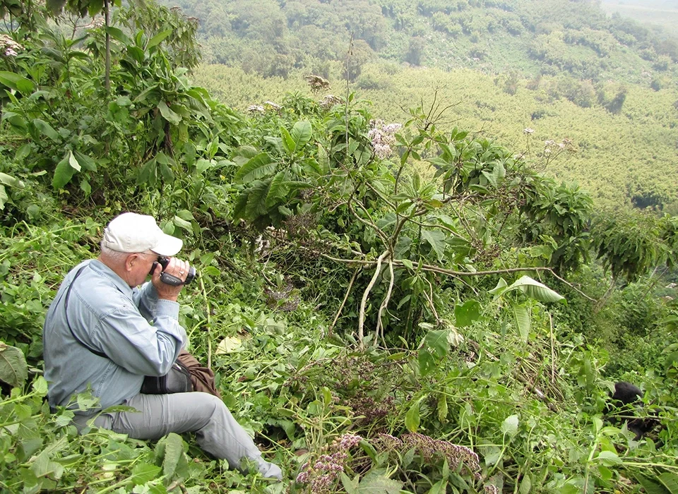 How to Customize Gorilla Safari Itinerary in Rwanda