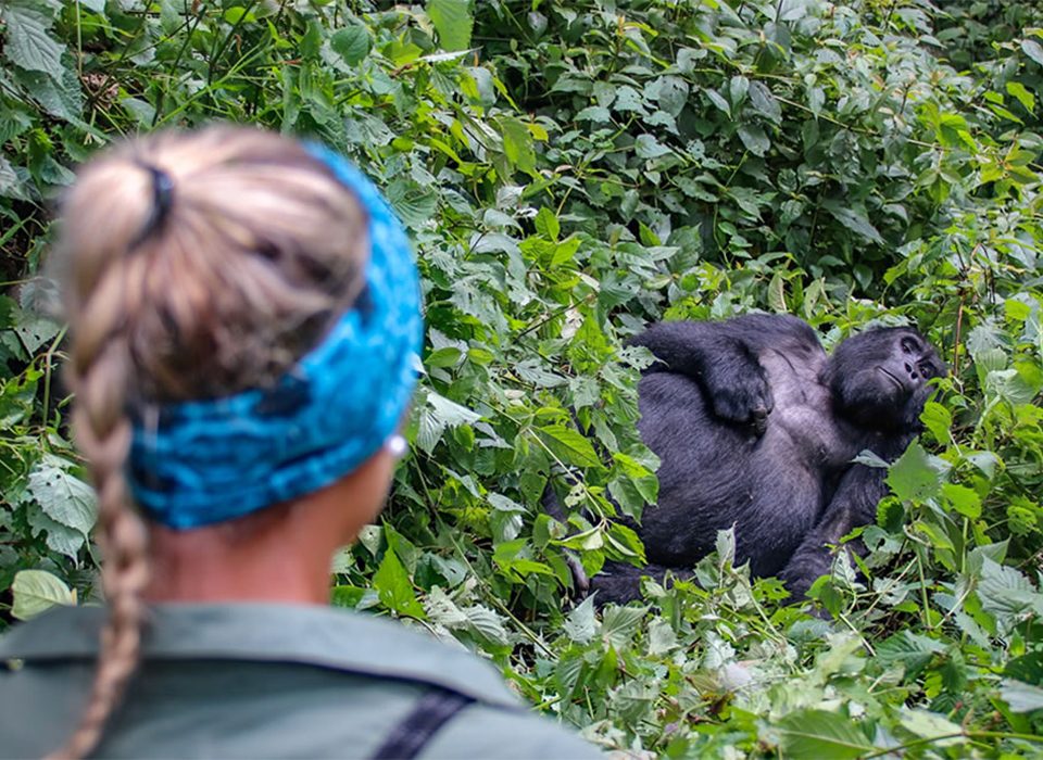 Transportation Options to Uganda's Gorilla Parks