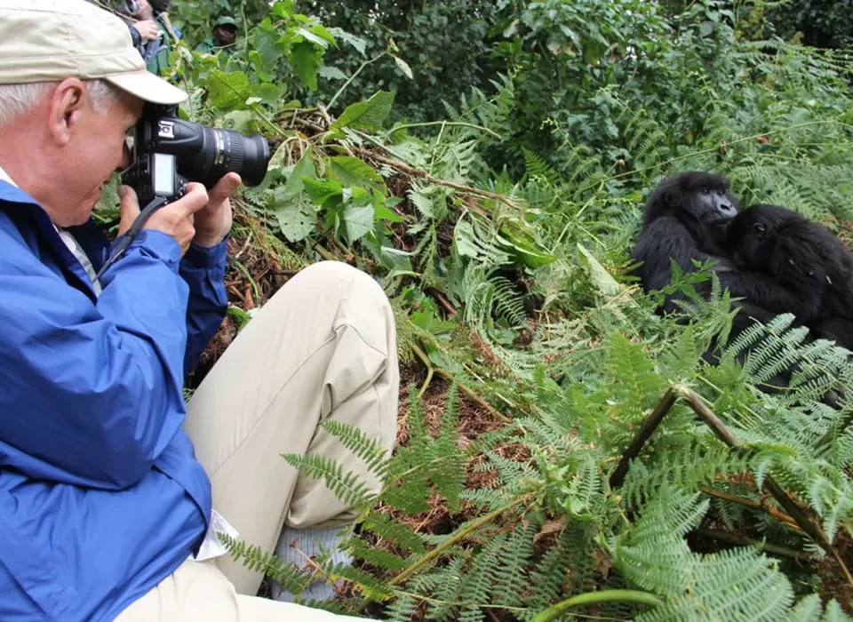 What a 3 Day Rwanda Gorilla Safari Looks Like
