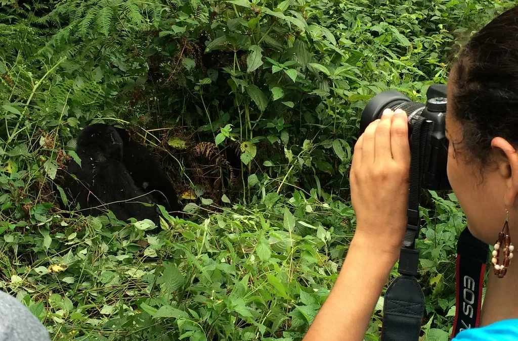 Gorilla Trekking and Iby'Iwacu Cultural Village Experience