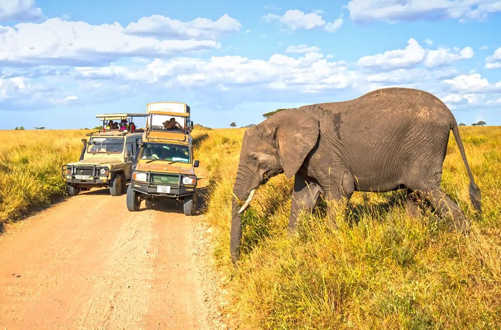How Many Days You Need for a Safari in Tanzania