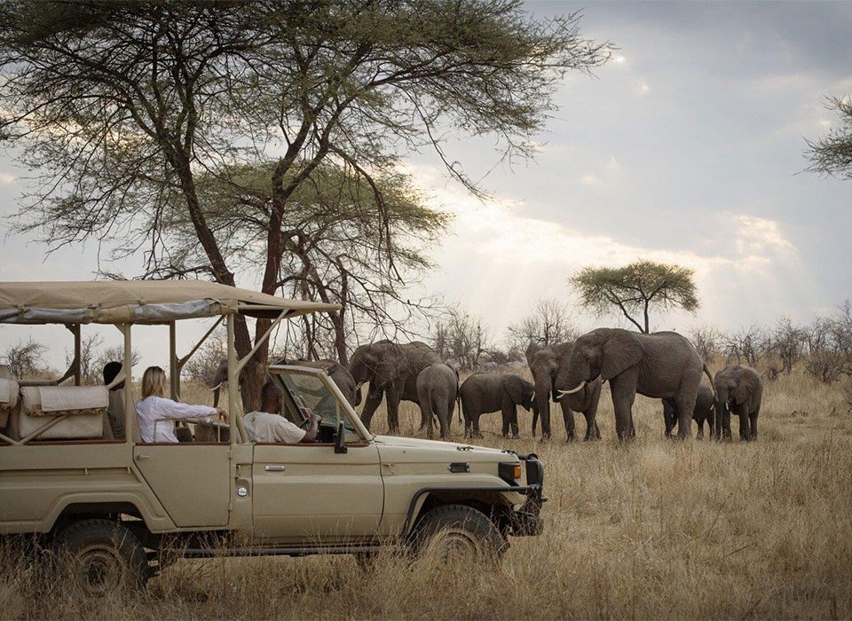 How to Combine Game Safari in Tanzania with Zanzibar
