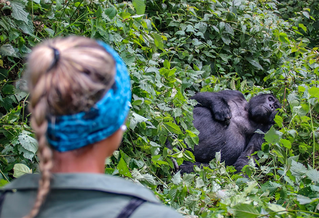 Is Bwindi Good for Solo Travelers
