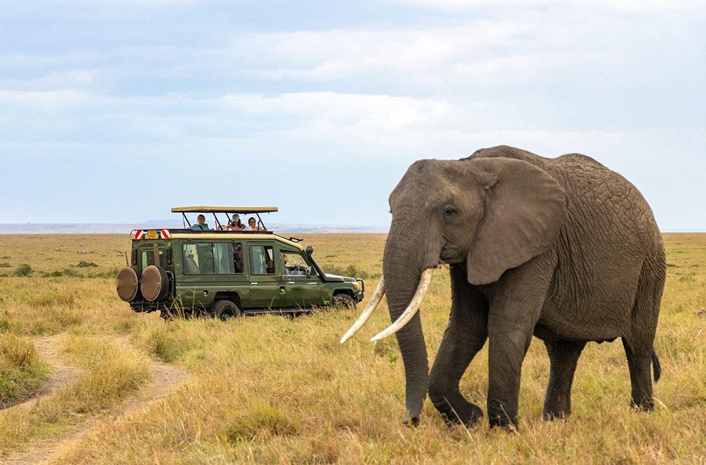 Luxury Birding & Game Safari in Uganda