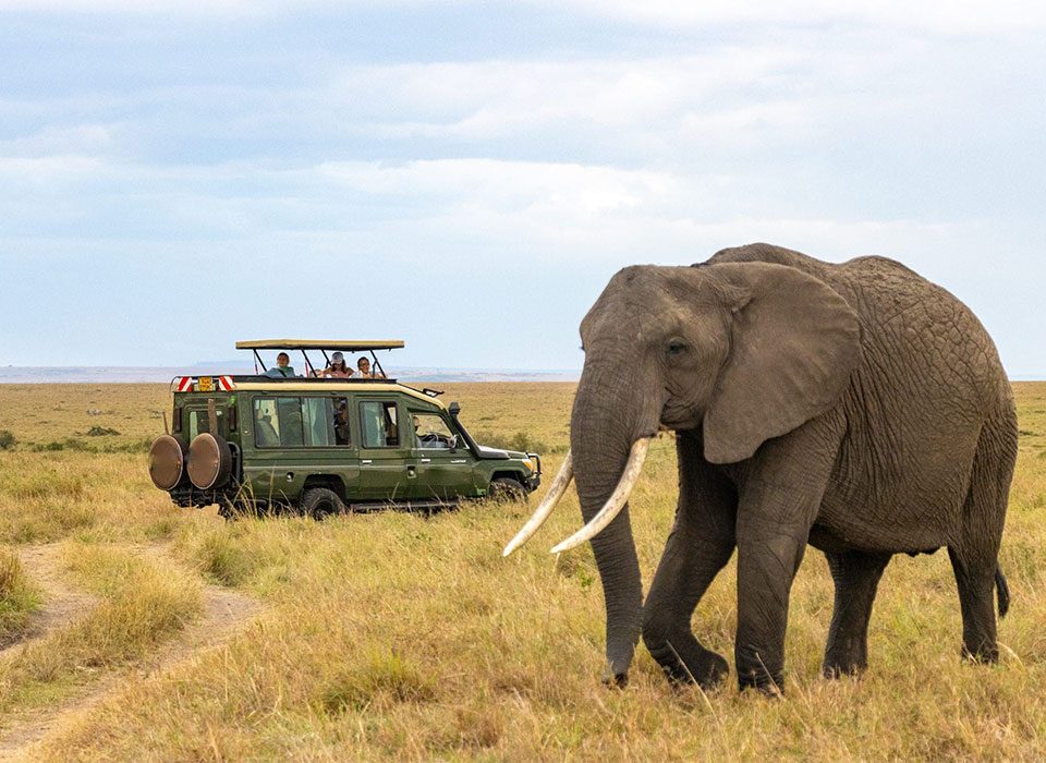 Luxury Birding & Game Safari in Uganda