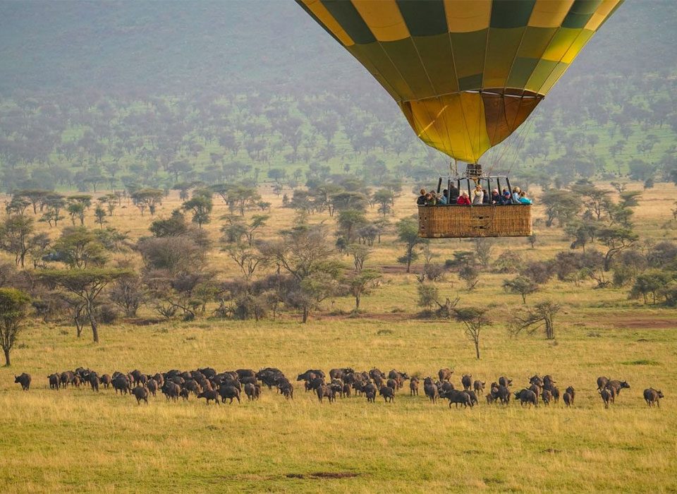Masai Mara to Bwindi Forest - Africa's Greatest Wildlife Journey