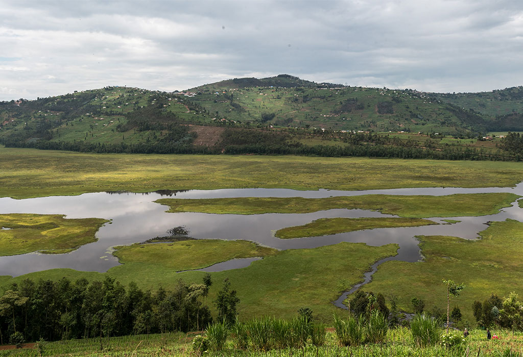 Rugezi Marsh
