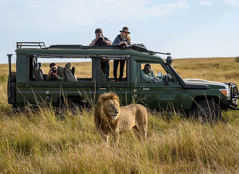 Travel Smart Across Kenya and Rwanda for a Safari