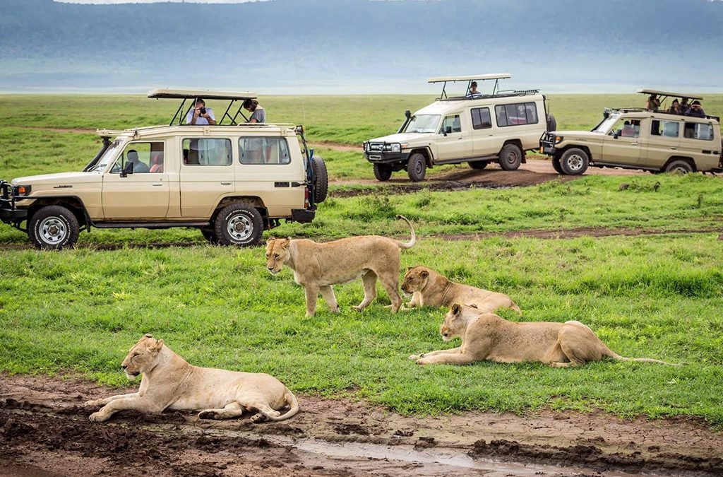 What Makes a Kenya and Uganda Safari Truly Unique