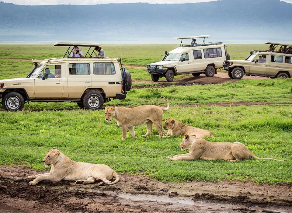 What Makes a Kenya and Uganda Safari Truly Unique