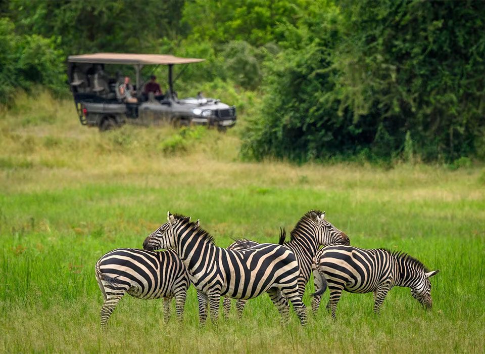 What is the cost of 1-Day Safari to Akagera National Park