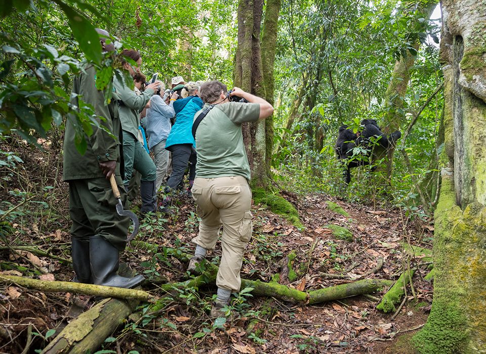What is the cost of 4 Days Mid-Range Uganda Gorilla Safari