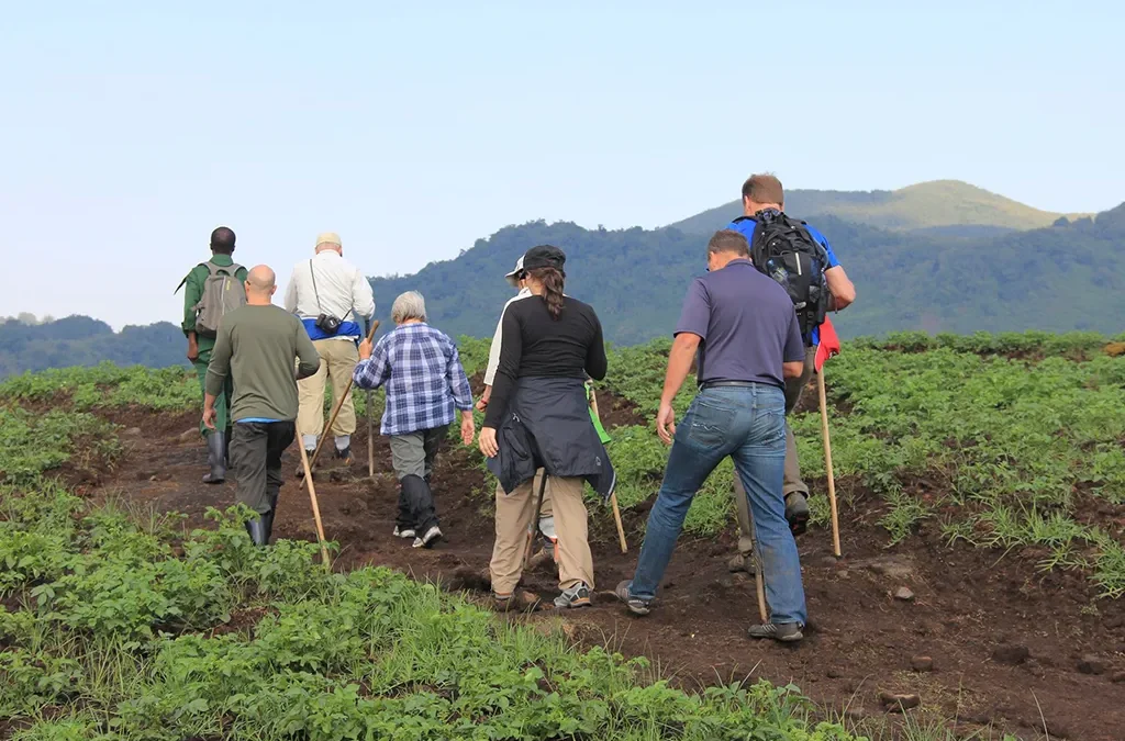 What to Eat Before and After Gorilla Trek