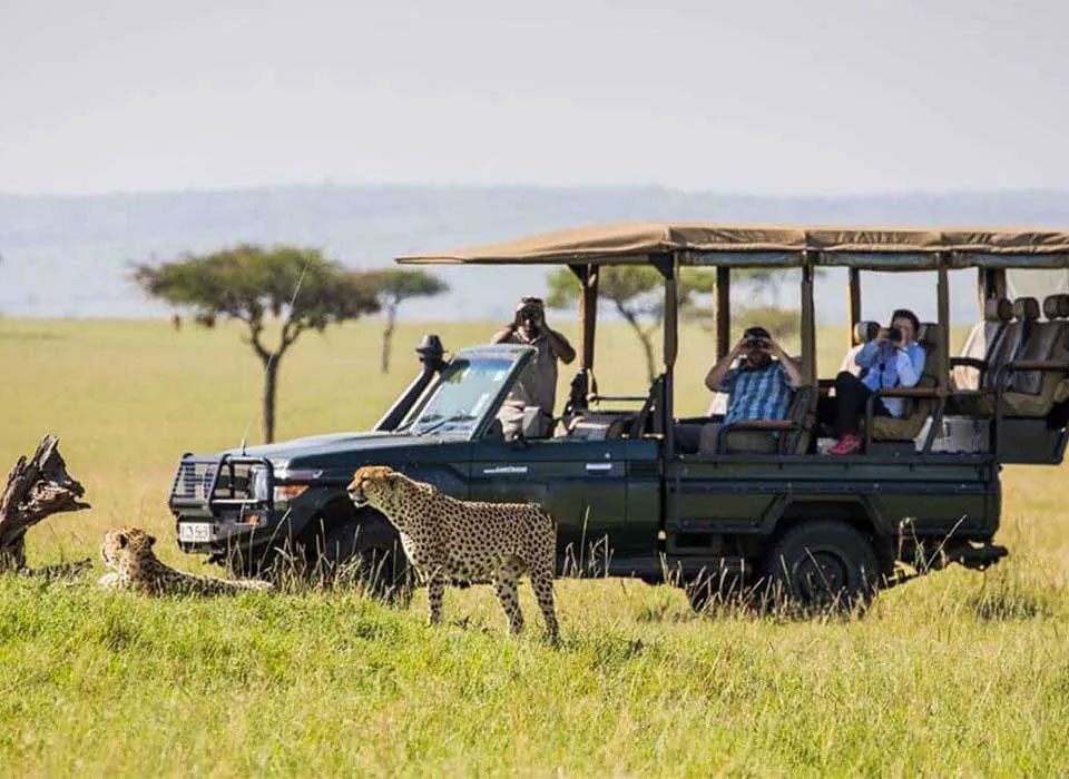 Why Combine Masai Mara with Volcanoes National Park